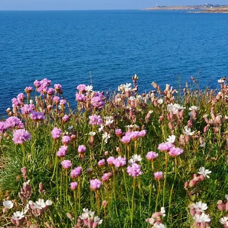 Сasa de vacaciones Au Petit Brick - Cosy Beachfront House