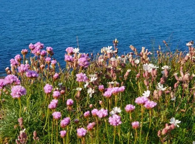 펜션 Au Petit Brick - Cosy Beachfront House